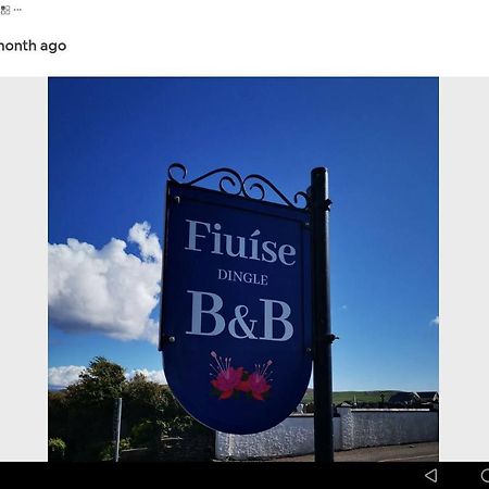 Fiuise B&B Dingle Luaran gambar