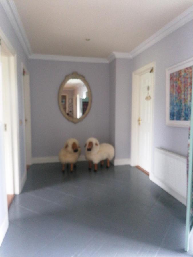 Fiuise B&B Dingle Luaran gambar