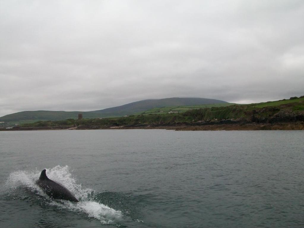 Fiuise B&B Dingle Luaran gambar
